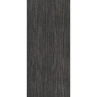 Vloertegel Douglas & Jones 120x280 cm Magnum Plank 6 (Prijs per M2)