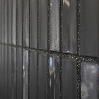 Mozaiek Tegel Sevilla 29,6x30 cm Finger Glossy Carbon Shades of Gray (Prijs per 0.89 M2)