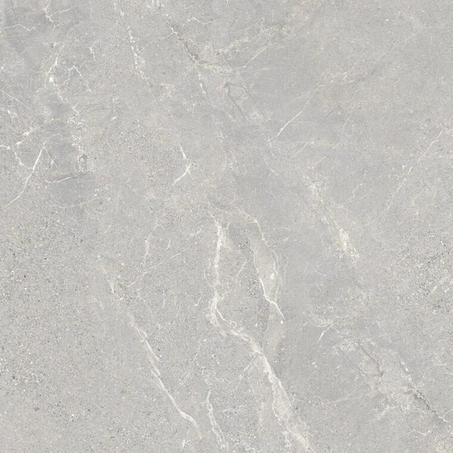 Vloertegel Energieker Wonder 60x60 Cm Mat Shade (Prijs per M2)