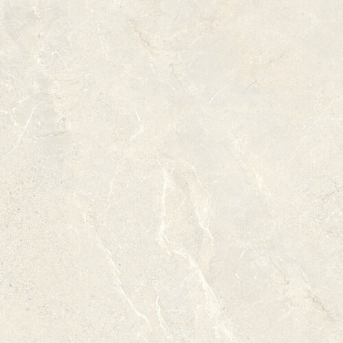 Vloertegel Energieker Wonder 60x60 Cm Mat Sleet (Prijs per M2) 