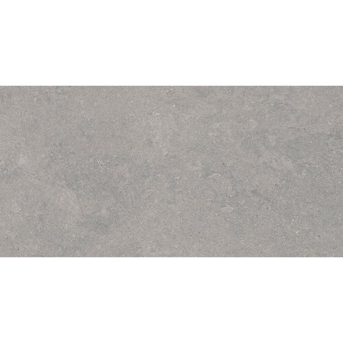 Vloertegel Pamesa Cromat Gris 30x60 cm Gerectificeerd Mat Grijs (Prijs Per M2) 