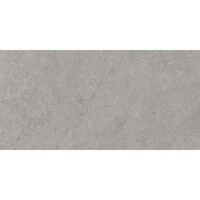 Vloertegel Pamesa Cromat Gris 30x60 cm Gerectificeerd Mat Grijs (Prijs Per M2)