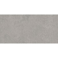 Vloertegel Pamesa Cromat Gris 30x60 cm Gerectificeerd Mat Grijs (Prijs Per M2)