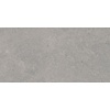 Vloertegel Pamesa Cromat Gris 60x120 cm Gerectificeerd Mat Grijs (Prijs Per M2)