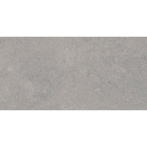 Vloertegel Pamesa Cromat Gris 60x120 cm Gerectificeerd Mat Grijs (Prijs Per M2) 