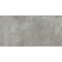 Vloertegel Pamesa Montpellier Ash 60x120 cm Gerectificeerd Mat Grijs (Prijs Per M2)