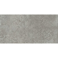 Vloertegel Pamesa Montpellier Ash 60x120 cm Gerectificeerd Mat Grijs (Prijs Per M2)