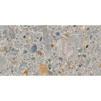 Vloertegel Pamesa Pietra Di Gre Multi 60x120 cm Gerectificeerd Mat Multi (Prijs Per M2)