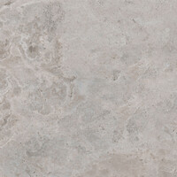 Vloertegel Pamesa Erding Ash 90x90 cm Gerectificeerd Mat Grijs (Prijs Per M2)