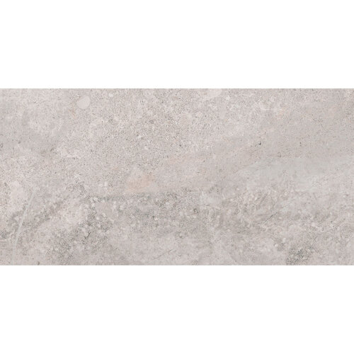 Vloertegel Pamesa Erding Silver 30x60 cm Gerectificeerd Mat Grijs (Prijs Per M2) 