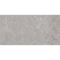 Vloertegel Pamesa Erding Ash 30x60 cm Gerectificeerd Mat Grijs (Prijs Per M2)