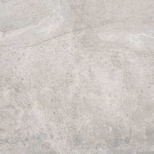 Vloertegel Pamesa Erding Silver 60x60 cm Gerectificeerd Mat Grijs (Prijs Per M2) 