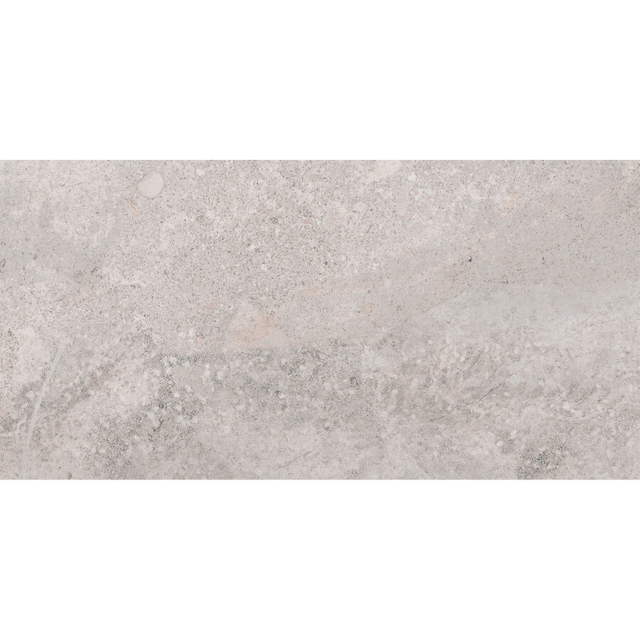 Vloertegel Pamesa Erding Silver 60x120 cm Gerectificeerd Mat Grijs (Prijs Per M2)