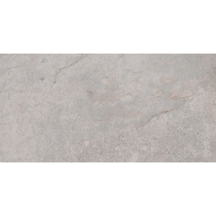 Vloertegel Pamesa Erding Ash 60x120 cm Gerectificeerd Mat Grijs (Prijs Per M2)