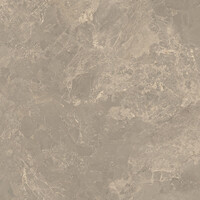 Vloertegel Verde Cosmopolitan 120x120 cm Stonelook Mat Donkergrijs (Prijs Per M2)