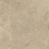 Vloertegel Verde Cosmopolitan 120x120 cm Stonelook Mat Taupe Grijs (Prijs Per M2)