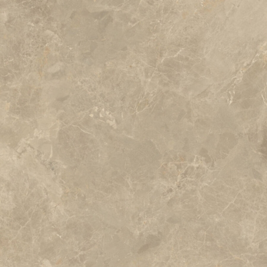 Vloertegel Verde Cosmopolitan 120x120 cm Stonelook Mat Taupe Grijs (Prijs Per M2)