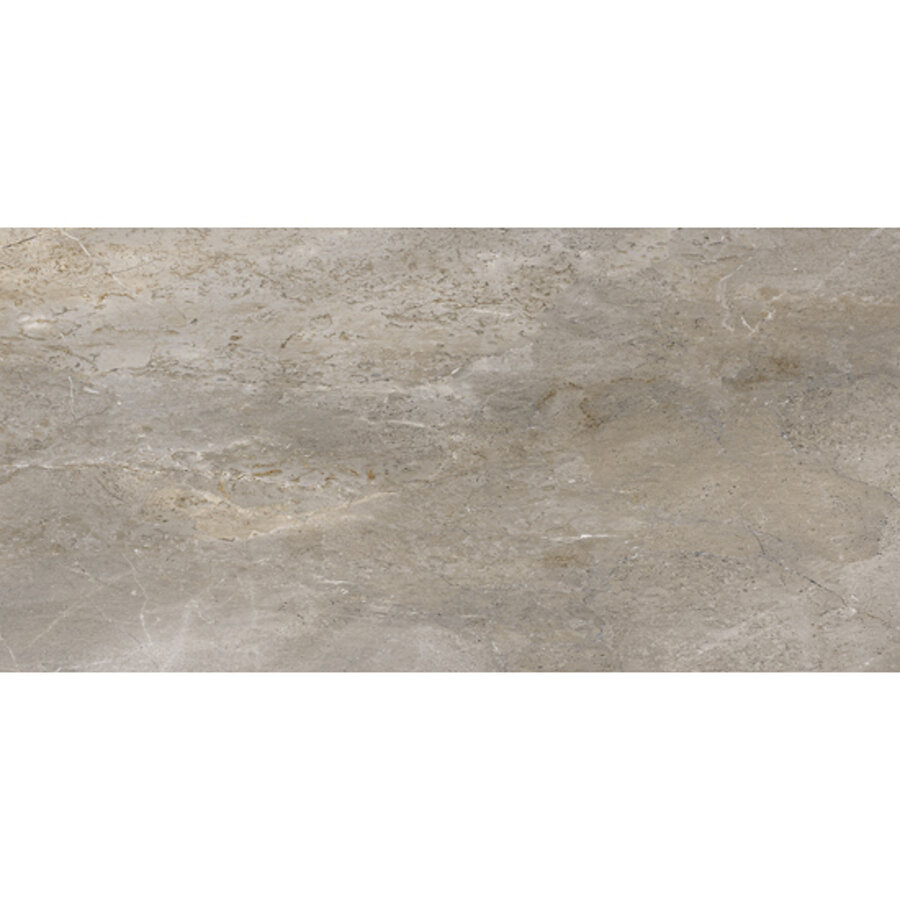 Vloertegel Porcelaingres Royal Stone 60x120 cm Mat Grijs (Prijs Per M2)