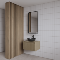 Spiegel Gliss Astra 100x50 Cm Mat Zwart Met Planchet En Plafondbevestiging