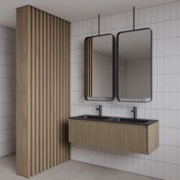 Spiegel Gliss Astra 100x50 Cm Mat Zwart Met Planchet En Plafondbevestiging