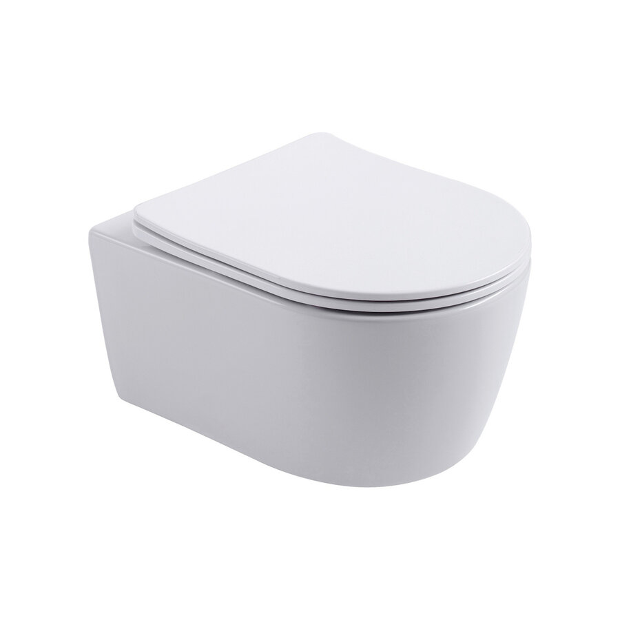 Geberit up100 Toiletset BWS Mudo | Randloos met Zitting | Mat Wit | Delta Drukplaat