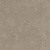 Ceramaxx Buitentegels Ceramaxx Limerock Betonlook Gerectificeerd 60x60x3 cm Taupe (Prijs Per M2)