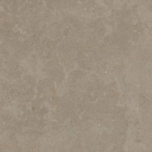 Buitentegels Ceramaxx Limerock Betonlook Gerectificeerd 60x60x3 cm Taupe (Prijs Per M2) 