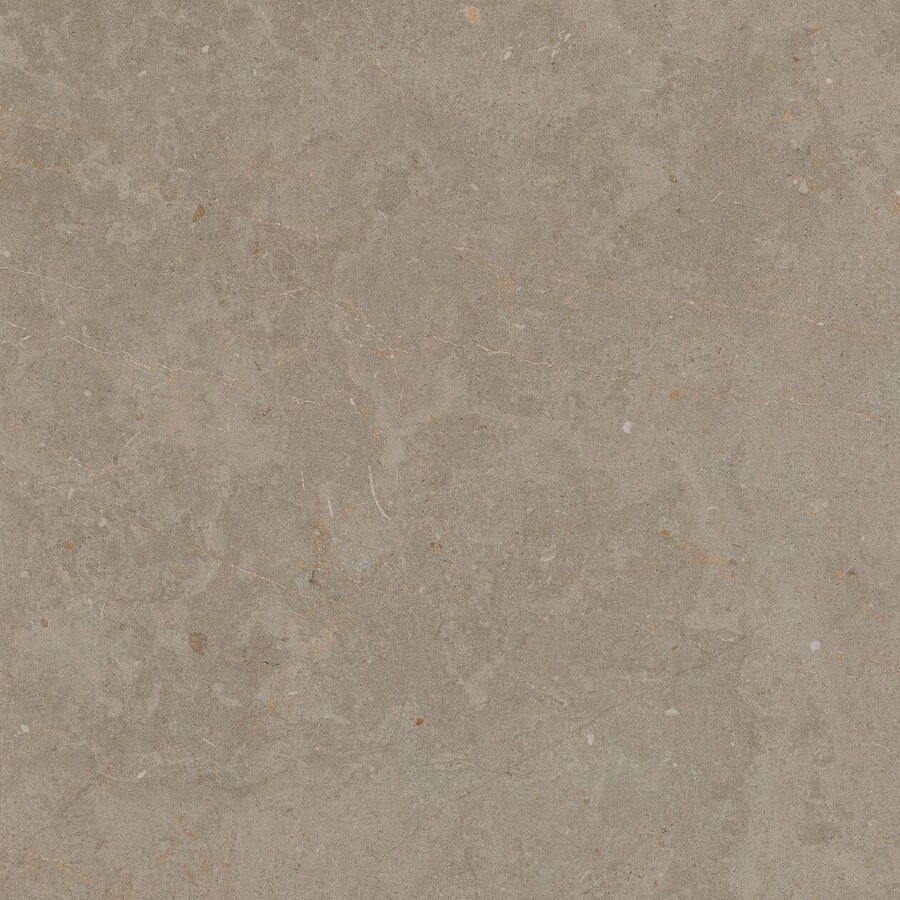 Buitentegels Ceramaxx Limerock Betonlook Gerectificeerd 60x60x3 cm Taupe (Prijs Per M2)