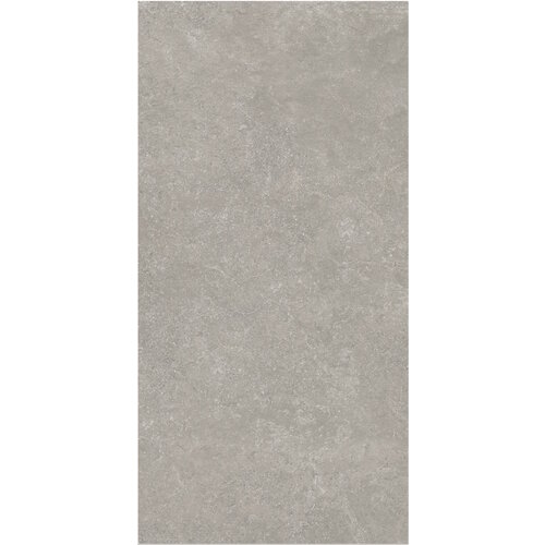 Vloertegel Flaminia Surface Greige 60x120 Gerectificeerd (Prijs Per M2) 