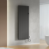 Elektrische Radiator BWS Boss 2.0 Met Wifi 2000W 160x60.8 cm Mat Zwart