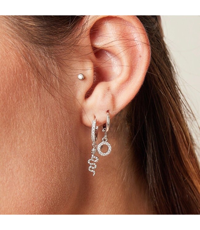 Shiny Snake Earrings