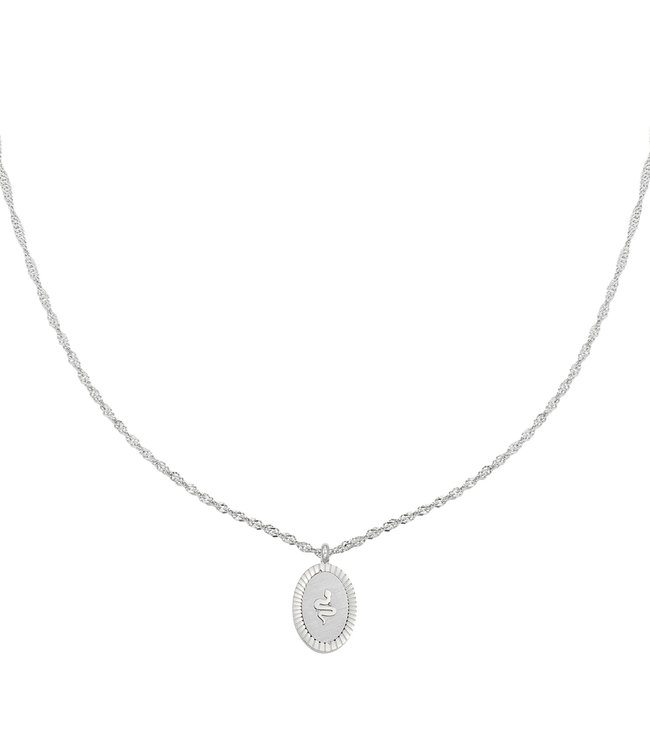 Silver Snake Coin Necklace