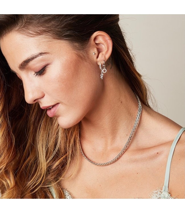 Shiny Snake Earrings