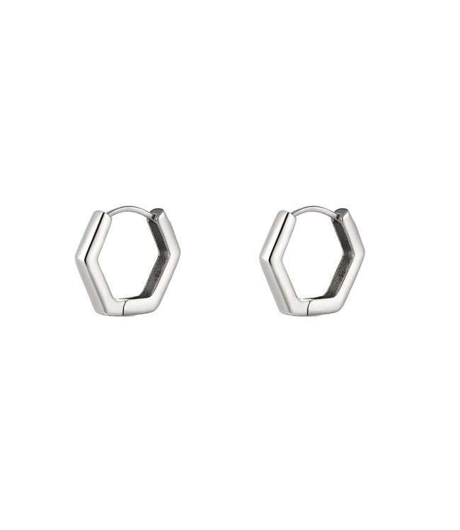 Plain Hexagon Earrings