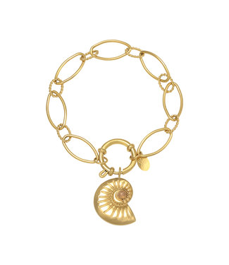 Shell Around Bracelet