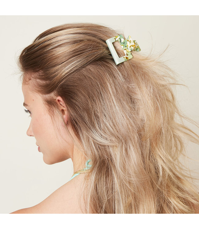 Half Spotted Hair Claw