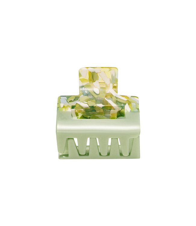 Half Spotted Hair Claw