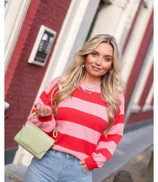 Striped Knit Sweater / Red Pink