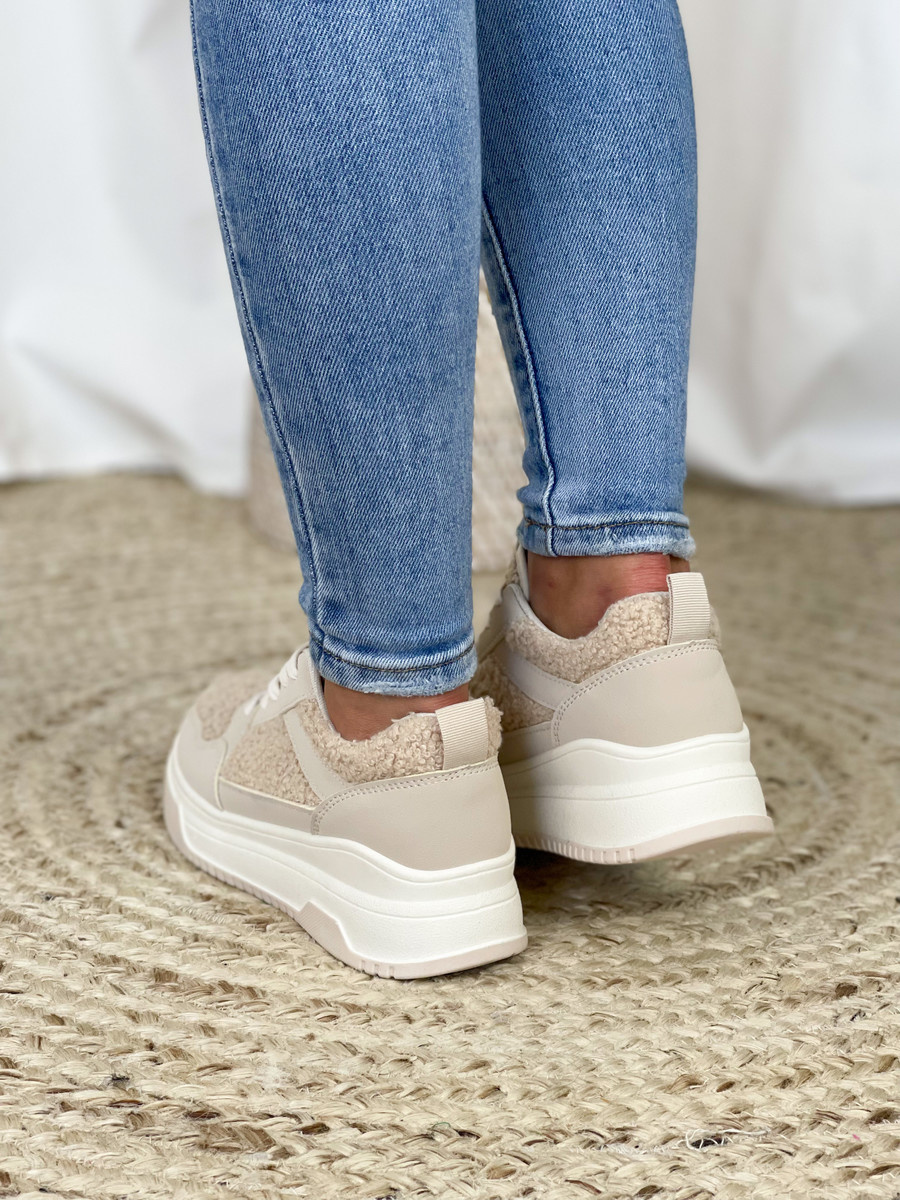 teddy shoes sneakers