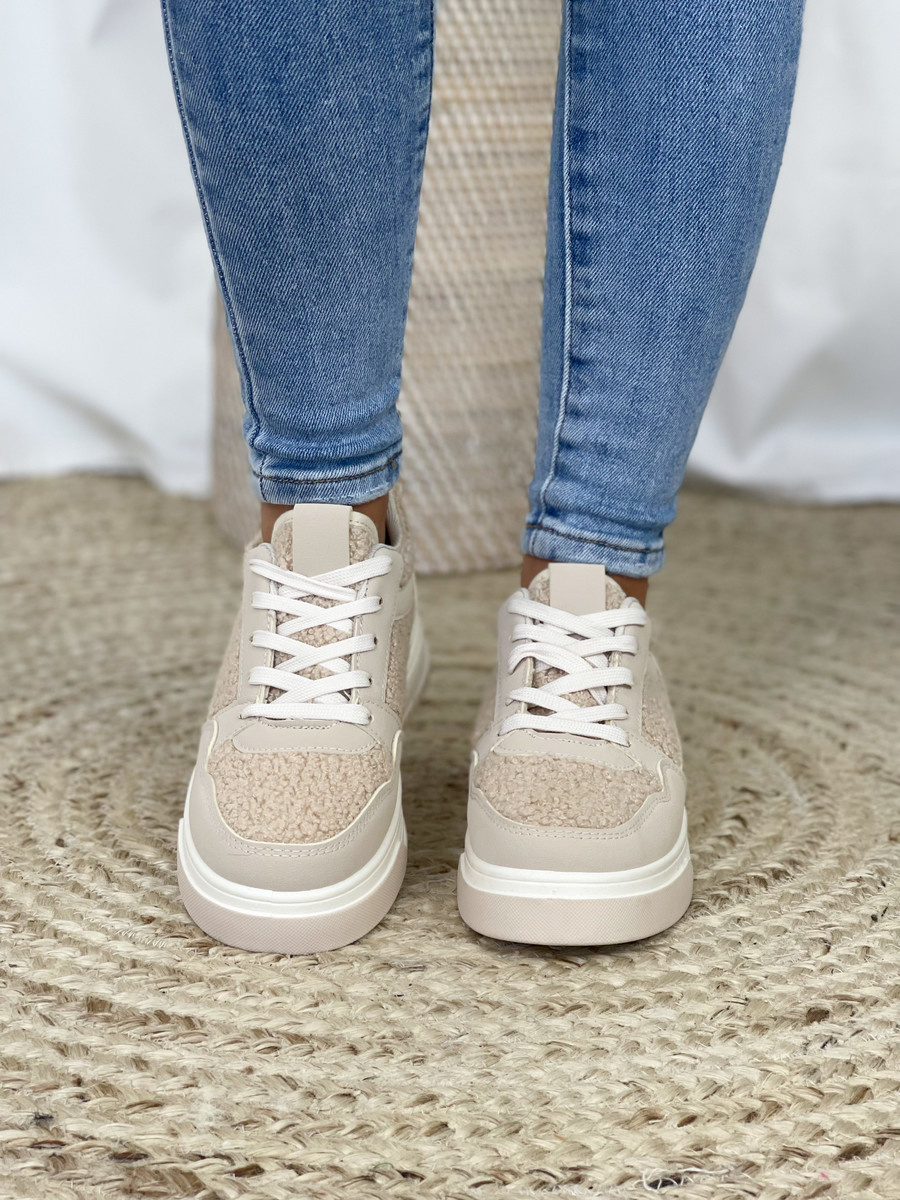 teddy shoes sneakers