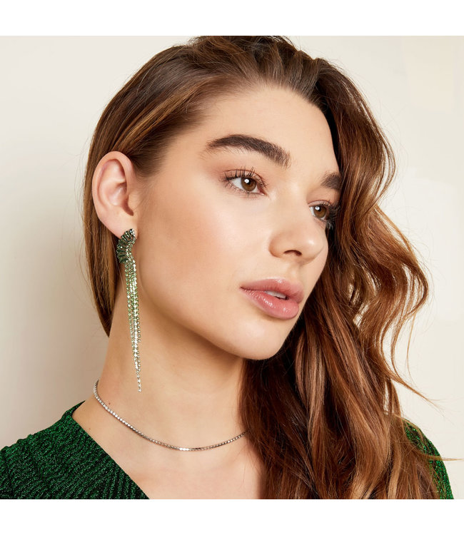 Shiny Half Moon Earrings