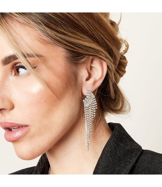 Shiny Wings Earrings