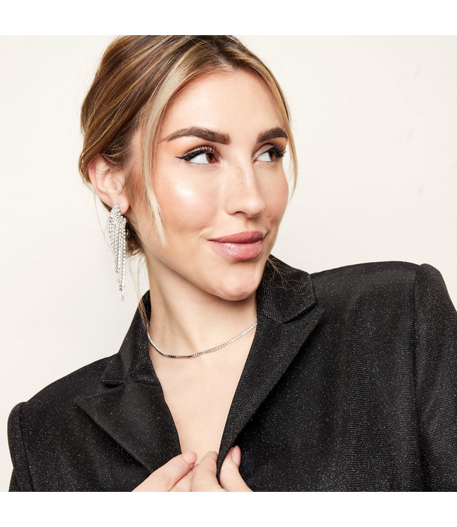 Shiny Wings Earrings