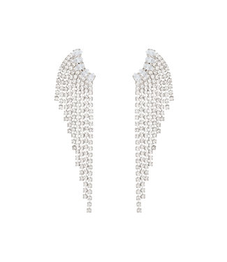 Shiny Wings Earrings