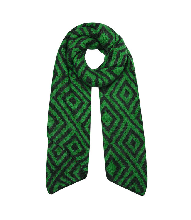 Printed Scarf / Green