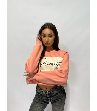 Angel Numbers Vintage Sweater / Coral