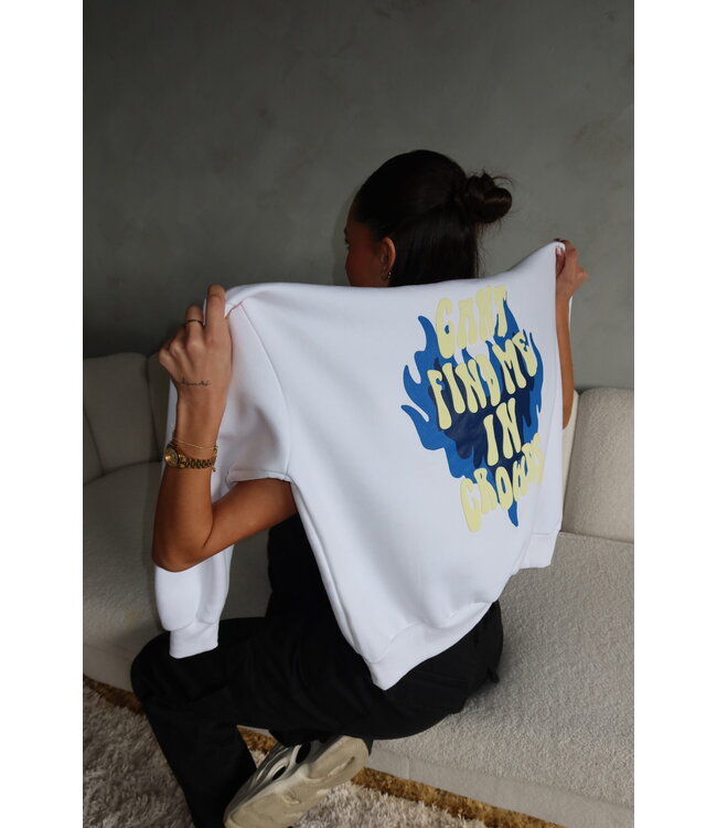 Find in Crowds Hoodie / White