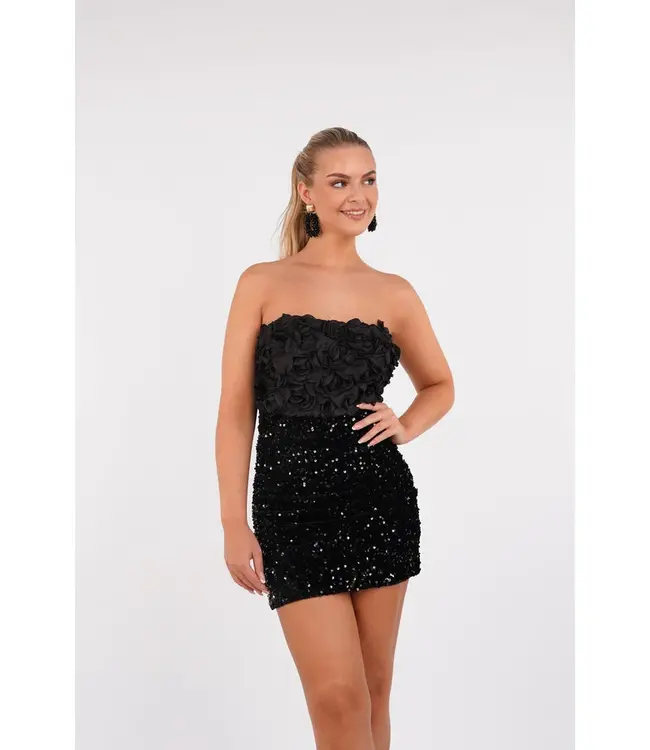 Roses Glitter Dress