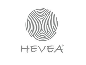 Hevea