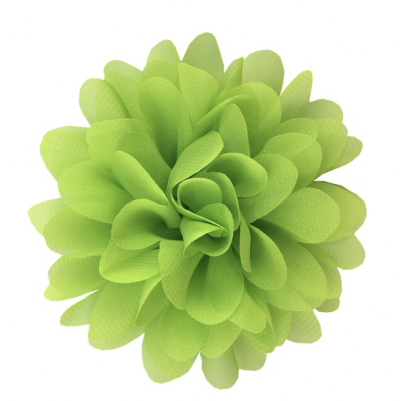 Bloem Lime